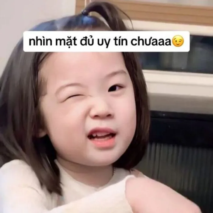 Những ảnh meme cute HOT nhất hiện nay