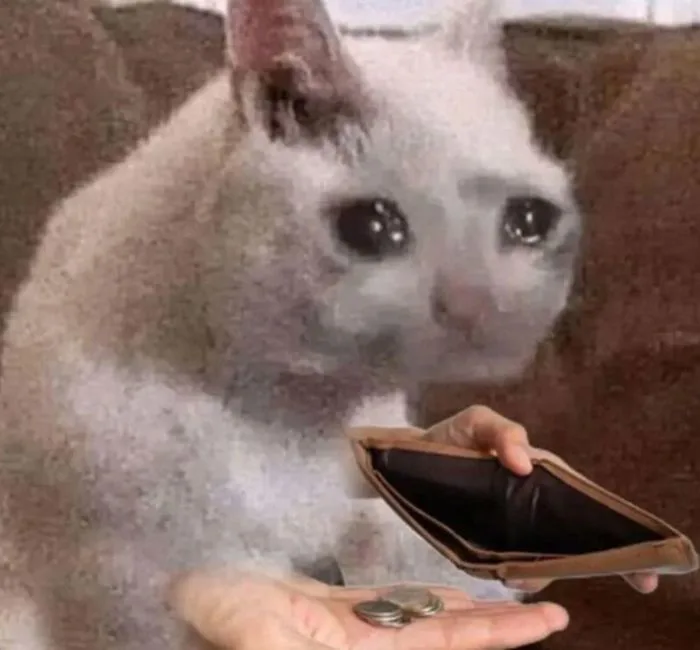 Bộ Sưu Tập Meme Tiền Hài Hước, Vui Nhộn 2026