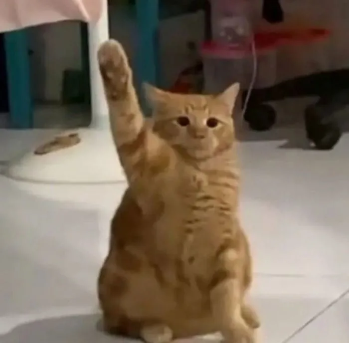 Bộ Sưu Tập Ảnh Meme Giơ Tay Cười Chảy Nước Mắt 2026