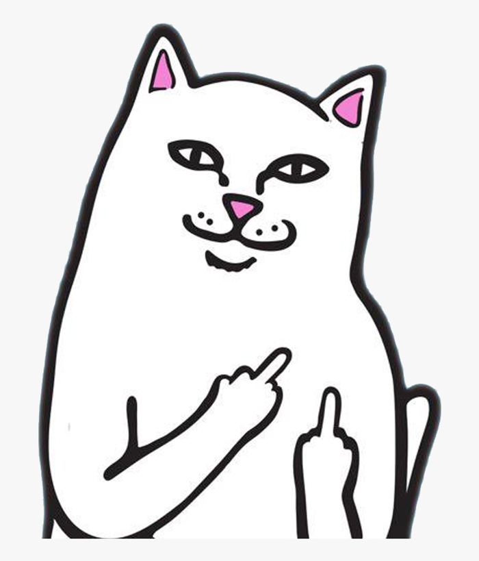 Cat Vector Rip N Dip - Fuck You Cat Meme, HD Png Download , Transparent Png  Image - PNGitem
