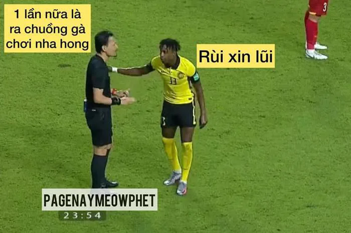 Việt Nam thắng Malaysia, meme 