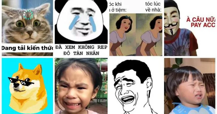Cười rụng rốn với 1001+ ảnh meme hài hước, lầy lội nhất năm 2023