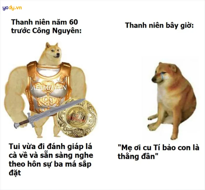 Tuyển tập 50+ ảnh meme cheems hài hước, bá đạo và vui nhộn | Yody