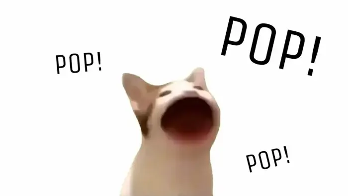 Bộ sưu tập ảnh vô tri meme vui nhộn và độc đáo nhất