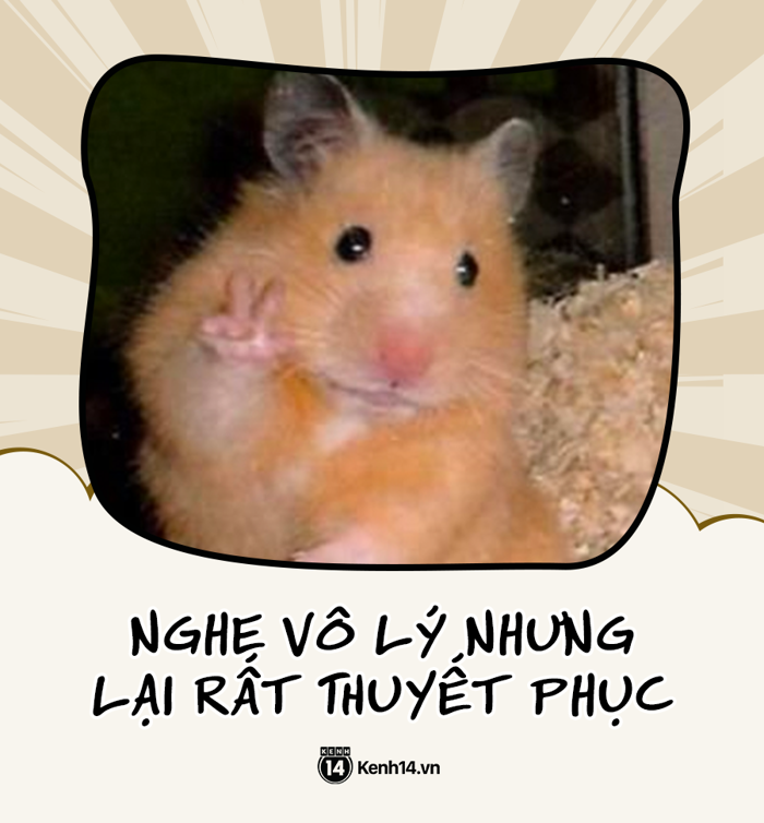 Top câu nói viral nhất năm 2019: Dùng 4G lướt mạng mà chưa bao giờ sử dụng  mấy câu này là quê lắm đó nha!