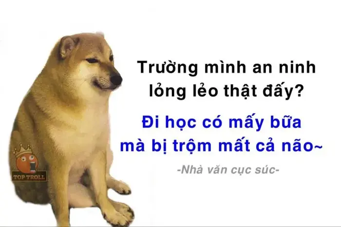 70+ Meme Chế Thơ, Câu Nói Đạo Lý xưa được remake lại giúp bạn khuyên người  cực hài
