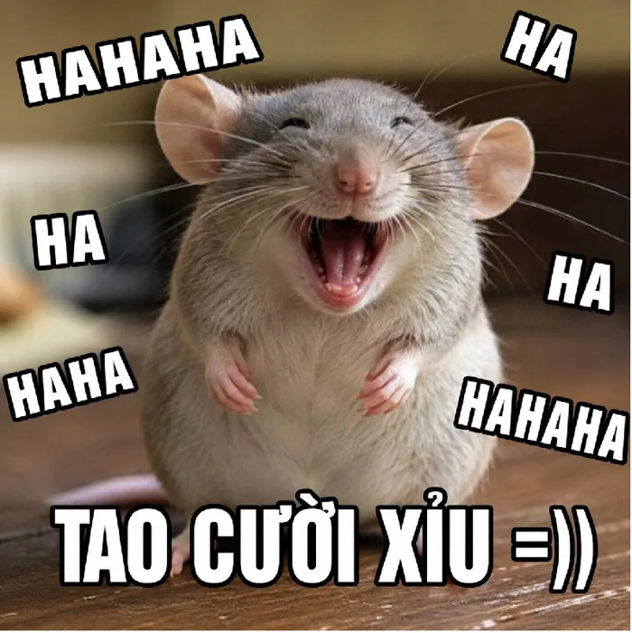 147+ Meme Chuột Cười nhe răng ảnh chế bựa - Hài hết nấc!