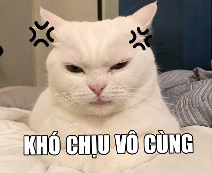 99+ Khó Chịu Vô Cùng meme chị khó chịu siêu hài