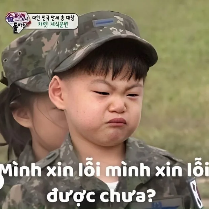 99+ ảnh meme xin lỗi người yêu cute, đáng yêu, hài hước