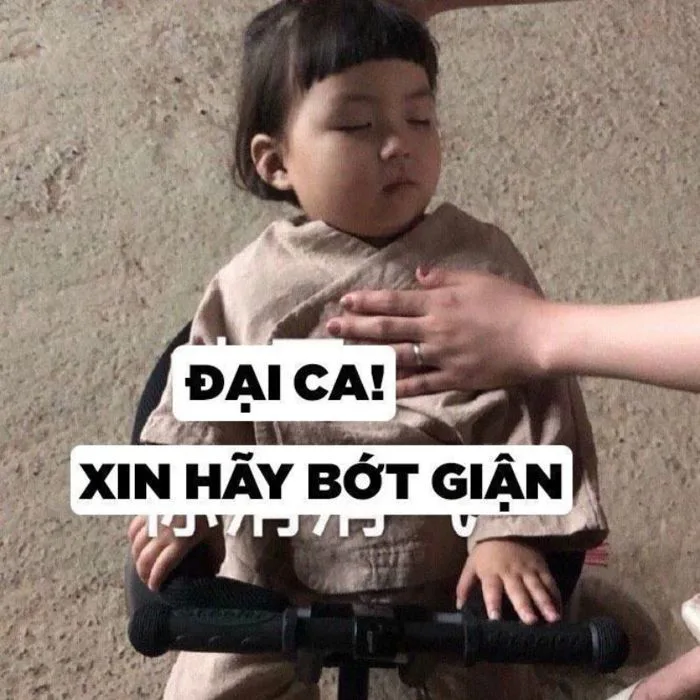 49+ ảnh meme xin lỗi cực hài hước khiến ai xem cũng mủi lòng