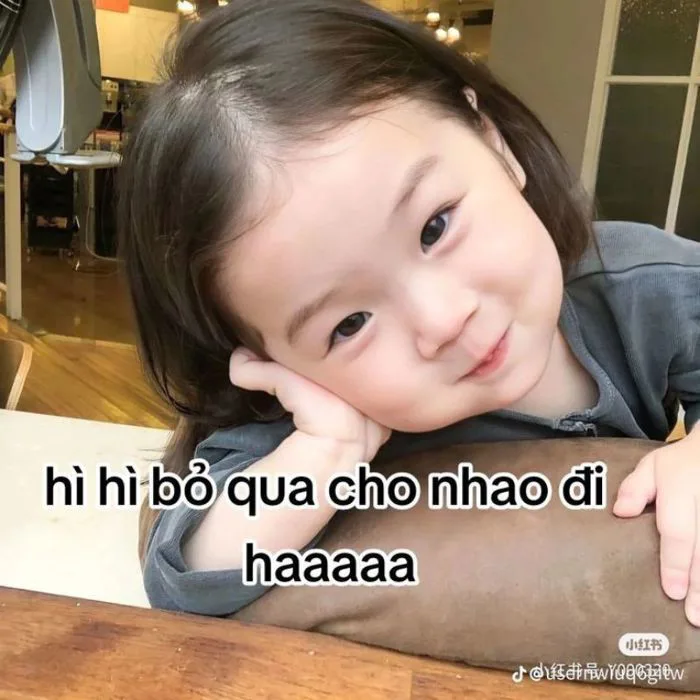 49+ ảnh meme xin lỗi cực hài hước khiến ai xem cũng mủi lòng