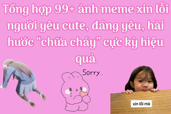 Tổng hợp 99+ ảnh meme xin lỗi người yêu cute, đáng yêu, hài hước “chữa
