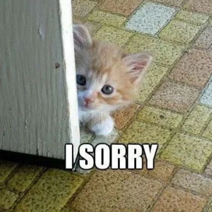99+ ảnh meme xin lỗi người yêu cute, đáng yêu, hài hước