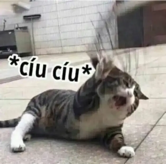 Cười té ghế với loạt meme xỉu cực kỳ vui nhộn hôm nay