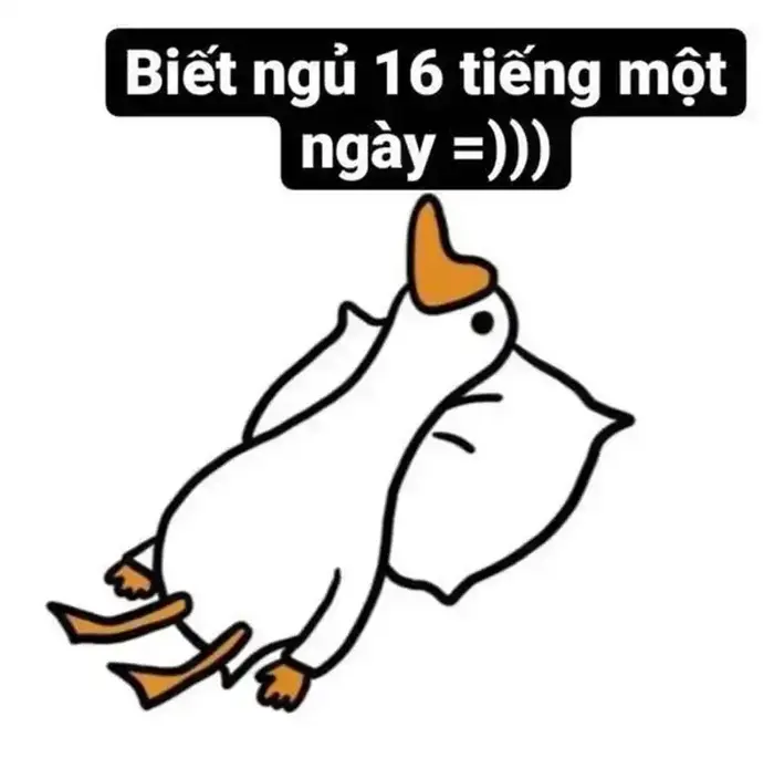 Cười té ghế với loạt meme xỉu cực kỳ vui nhộn hôm nay