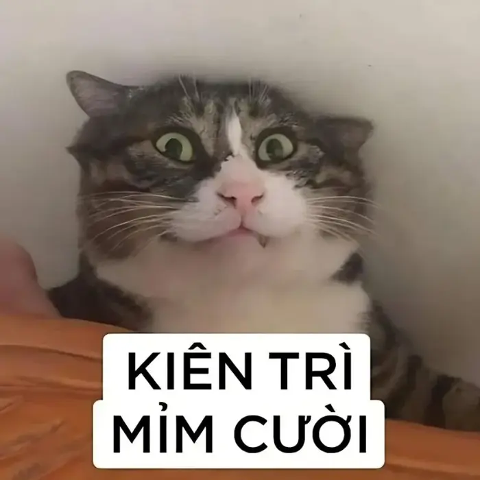 Top meme hài viral khiến dân mạng cười nghiêng ngả